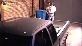 Studly Bears Misbehaving - porn video